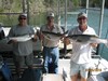 (07/25/2015) - Nice Striped Bass
